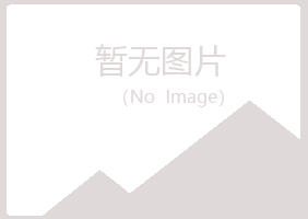 偃师代曼材料有限公司